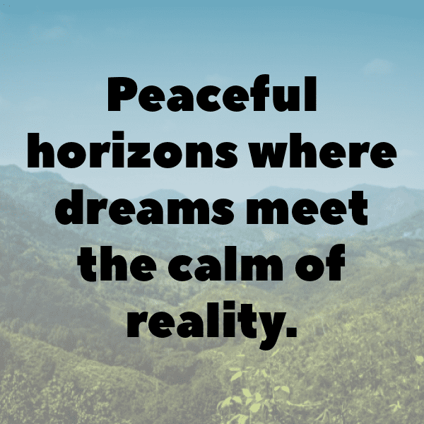 271+ Nectarine Captions For Instagram In 2025 8 Nectarine Captions Image For Instagram-eNPkx7