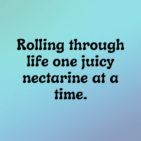 271+ Nectarine Captions For Instagram In 2025 6 Nectarine Captions Image For Instagram-VTu7iR