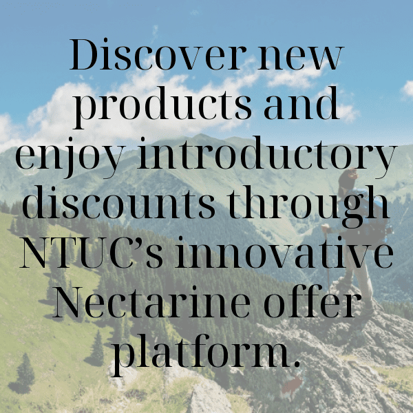 271+ Nectarine Captions For Instagram In 2025 13 Nectarine Captions Photo For Instagram-Dk8PJK