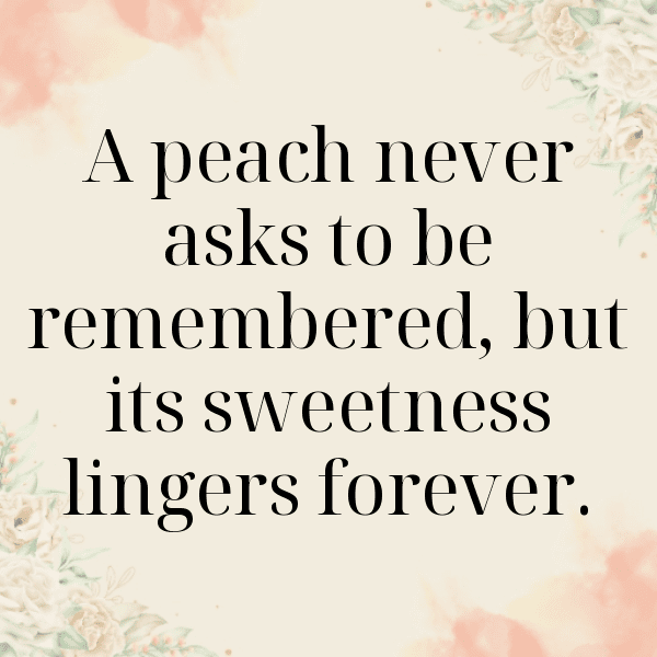 271+ Nectarine Captions For Instagram In 2025 10 Nectarine Captions Photo For Instagram-T4Fmj6