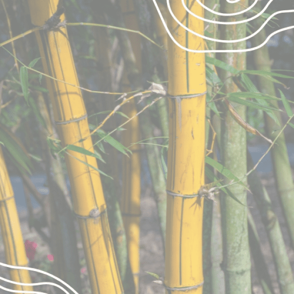 Nepal Captions Image For Instagram-CXMz7G