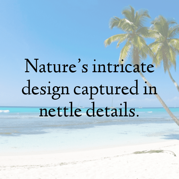 275+ Nettle Captions For Instagram (Trending, Funny & Top) 4 Nettle Captions Image For Instagram-qO8hjn