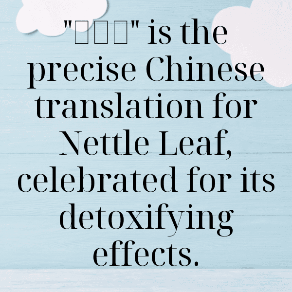 275+ Nettle Captions For Instagram (Trending, Funny & Top) 6 Nettle Captions Image For Instagram-uWIXkY