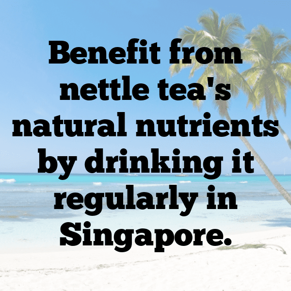 275+ Nettle Captions For Instagram (Trending, Funny & Top) 9 Nettle Captions Photo For Instagram-GV065J