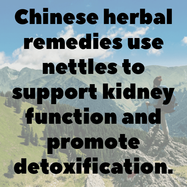 275+ Nettle Captions For Instagram (Trending, Funny & Top) 10 Nettle Captions Photo For Instagram-Hs5JvO