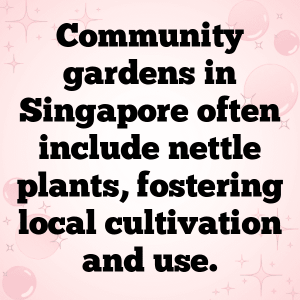 275+ Nettle Captions For Instagram (Trending, Funny & Top) 7 Nettle Captions Photo For Instagram-yw5wtf