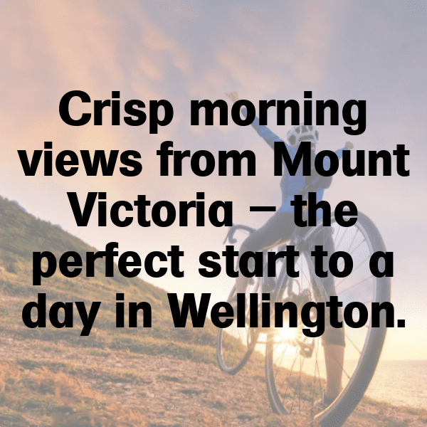 New Zealand Captions Photo For Instagram-oifPOQ