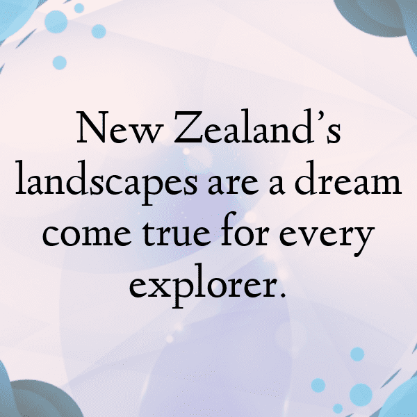 230+ New Zealand Yam Captions For Instagram (Trending, Funny & Top) 8 New Zealand Yam Captions Image For Instagram-K9QI9A