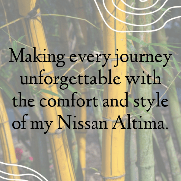 277+ Nissan Altima Captions for Instagram (Trending, Funny & Top) 3 Nissan Altima Captions Photo for Instagram-5IQM13