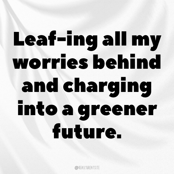Nissan Leaf Captions Photo for Instagram-FjCNTG