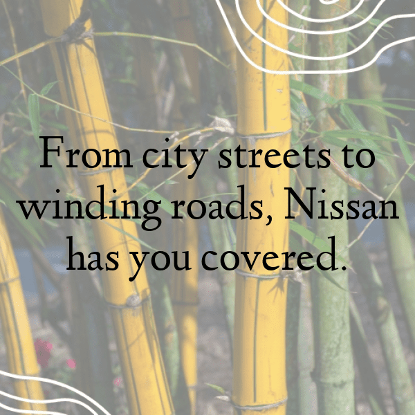 294+ Nissan Maxima Captions for Instagram (Best, Funny & Short) 9 Nissan Maxima Captions Photo for Instagram-uoVOor