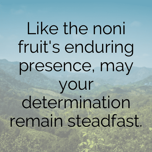 Noni Fruit Captions Image For Instagram-eroOaQ