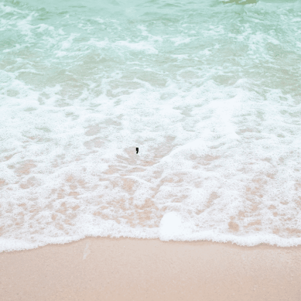 Noni Fruit Captions Photo For Instagram-fcSzOs