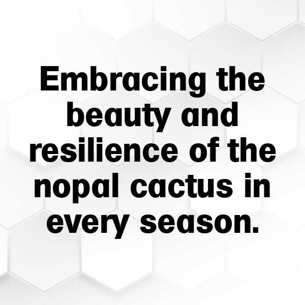 Nopal Captions Image For Instagram-fgyM9p