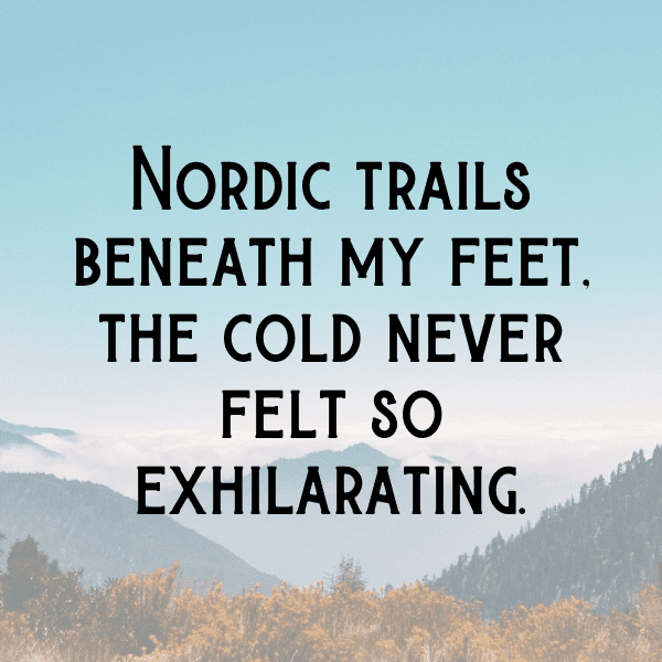 261+ Nordic Combined Captions for Instagram (Trending, Funny & Top) 11 Nordic Combined Captions Photo for Instagram-t2OJ0Y