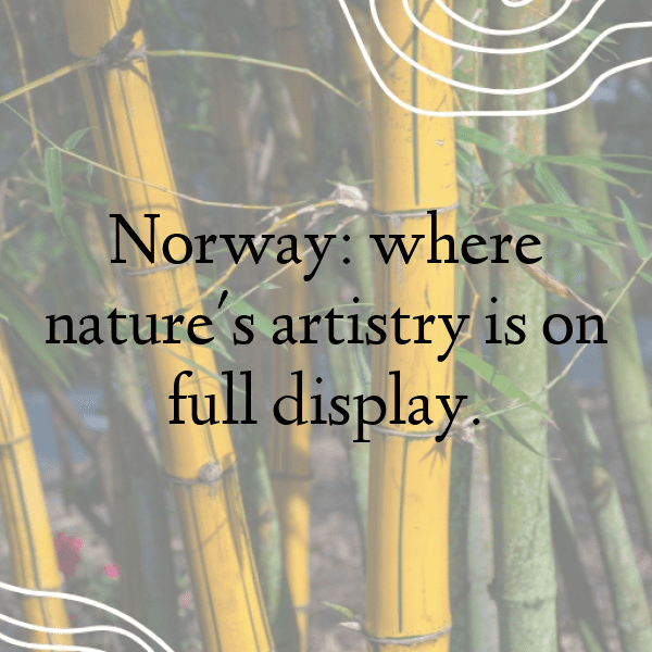 Norway Captions Photo For Instagram-TRh5Pd