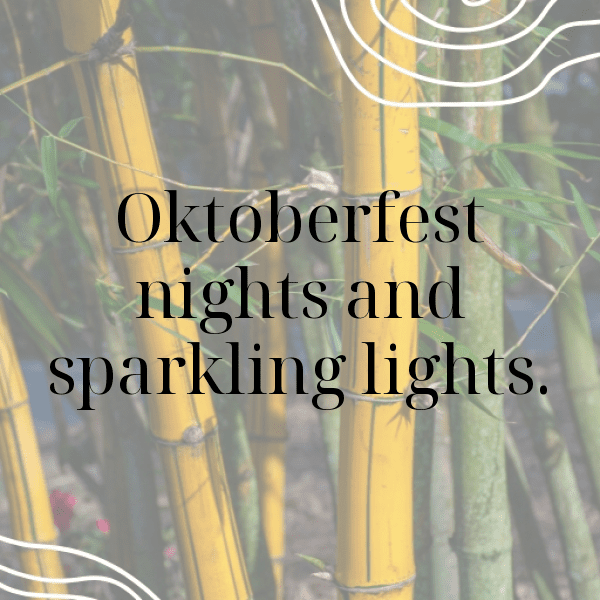 Oktoberfest Captions Image for Instagram-V7D9YJ