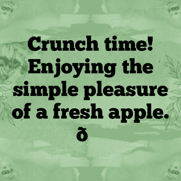 Opal Apple Captions Image For Instagram-imaRVO