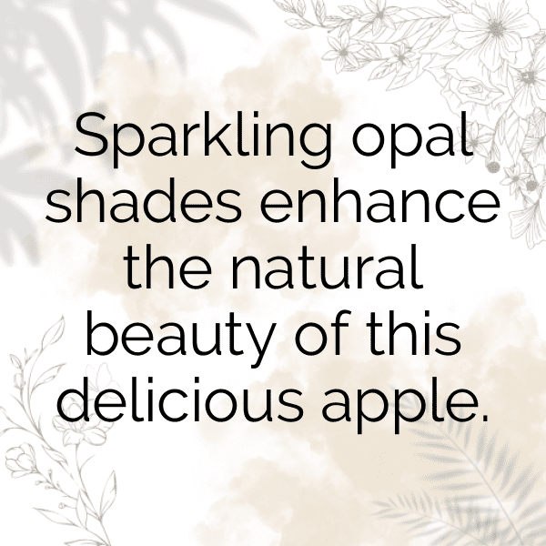 Opal Apple Captions Image For Instagram-qlbmDb