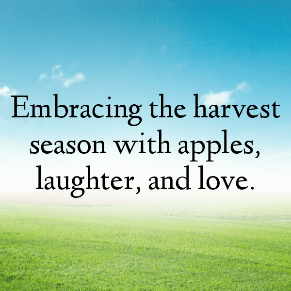 338+ Orach Captions For Instagram (Trending, Funny & Top) 3 Orach Captions Image For Instagram-1P5YVj