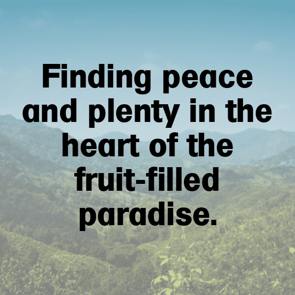 338+ Orach Captions For Instagram (Trending, Funny & Top) 5 Orach Captions Image For Instagram-RigLIj