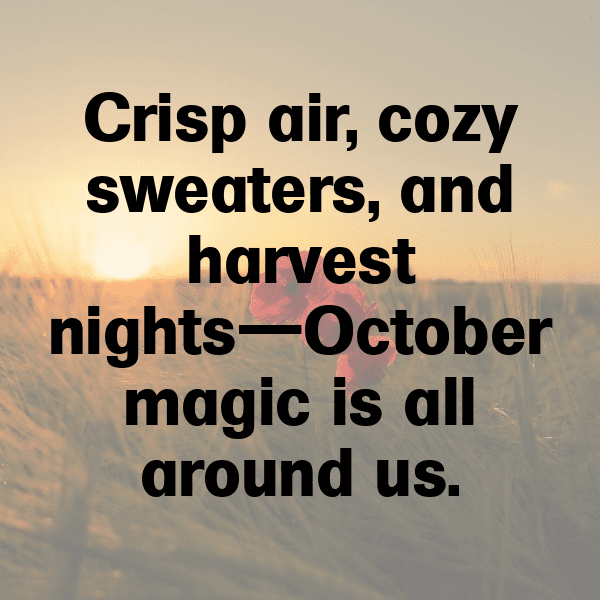 338+ Orach Captions For Instagram (Trending, Funny & Top) 6 Orach Captions Image For Instagram-U43ZKJ