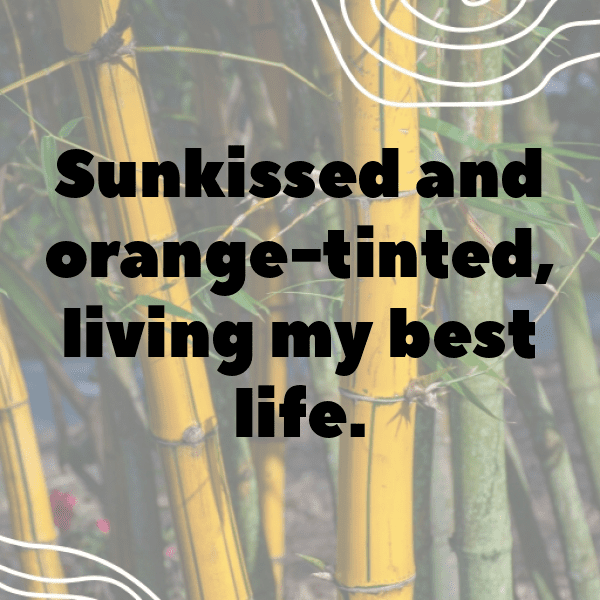 338+ Orach Captions For Instagram (Trending, Funny & Top) 7 Orach Captions Image For Instagram-Whe4Dy