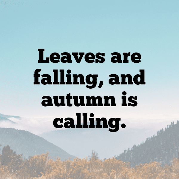 338+ Orach Captions For Instagram (Trending, Funny & Top) 4 Orach Captions Photo For Instagram-0234Ox