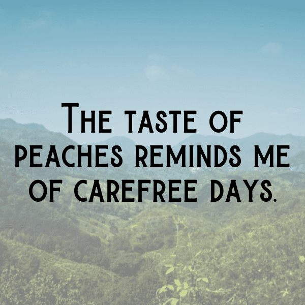 338+ Orach Captions For Instagram (Trending, Funny & Top) 13 Orach Captions Photo For Instagram-Orv0UM