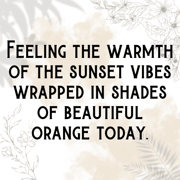 268+ Orange Captions For Instagram (Fresh & Trendy) 5 Orange Captions Image For Instagram-NHImU7