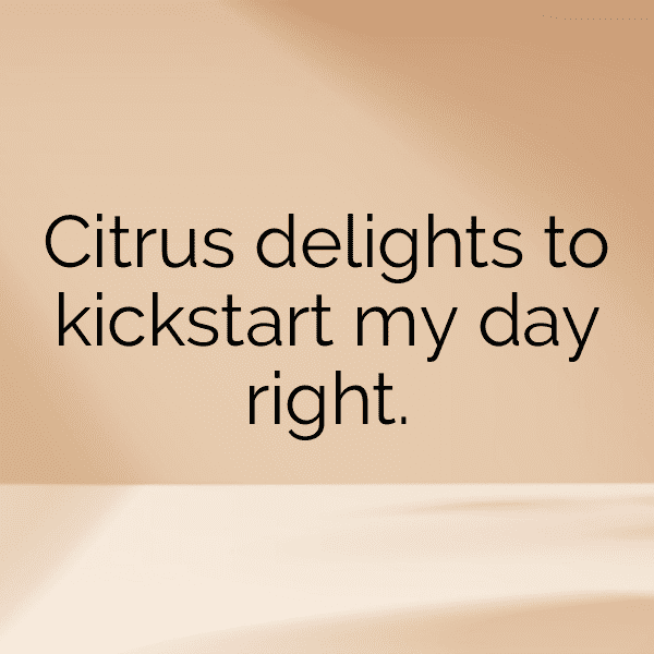 268+ Orange Captions For Instagram (Fresh & Trendy) 15 Orange Captions Image For Instagram-SPIPWc