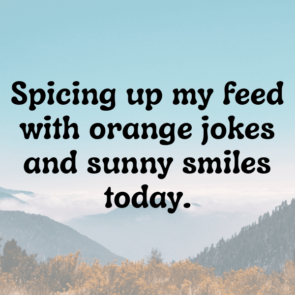 268+ Orange Captions For Instagram (Fresh & Trendy) 6 Orange Captions Image For Instagram-ZWueCA