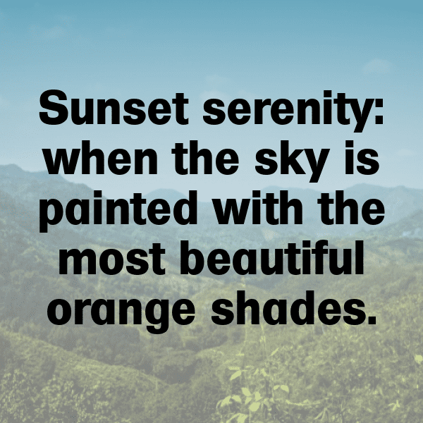 268+ Orange Captions For Instagram (Fresh & Trendy) 17 Orange Captions Photo For Instagram-jnWalQ