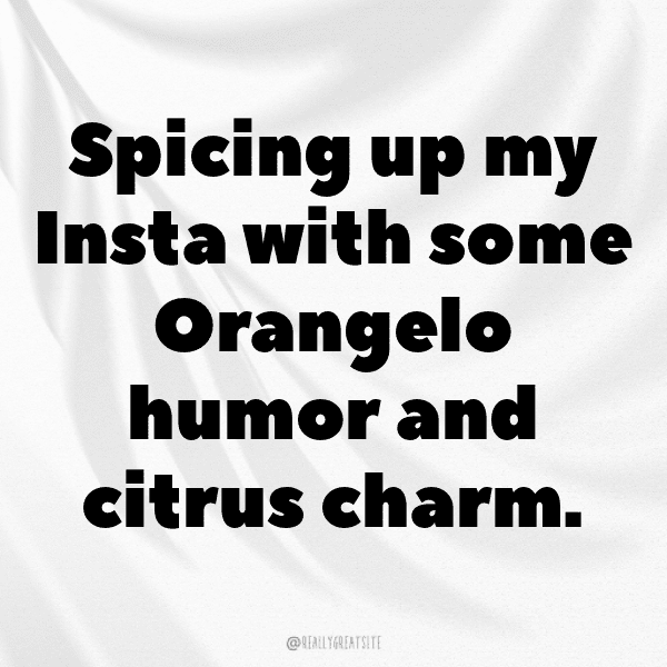 345+ Orangelo Captions For Instagram (Trending, Funny & Top) 7 Orangelo Captions Photo For Instagram-i8RhnI