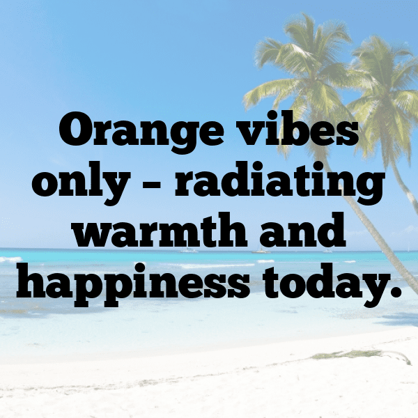 345+ Orangelo Captions For Instagram (Trending, Funny & Top) 4 Orangelo Captions Photo For Instagram-jUG0wC
