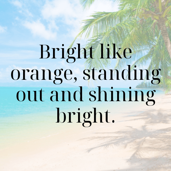 345+ Orangelo Captions For Instagram (Trending, Funny & Top) 6 Orangelo Captions Photo For Instagram-tKEjz1