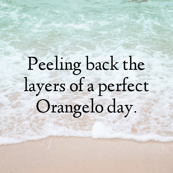 345+ Orangelo Captions For Instagram (Trending, Funny & Top) 8 Orangelo Captions Photo For Instagram-zhwV1Z