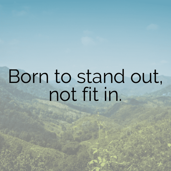 Orca Captions Image For Instagram-OoTMxq