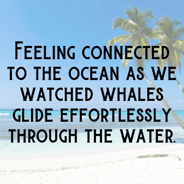 Orca Captions Photo For Instagram-lg7KTq