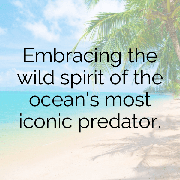 Orca Captions Photo For Instagram-PRNgIy