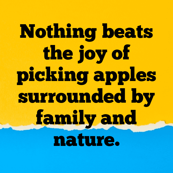 Orchard Visit Captions Photo for Instagram-GrXRqW