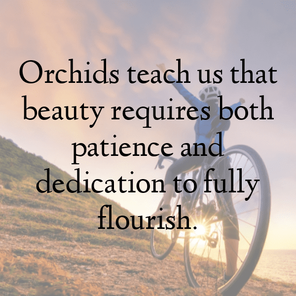 286+ Orchid Captions For Instagram In 2025 8 Orchid Captions Image For Instagram-85XsJl