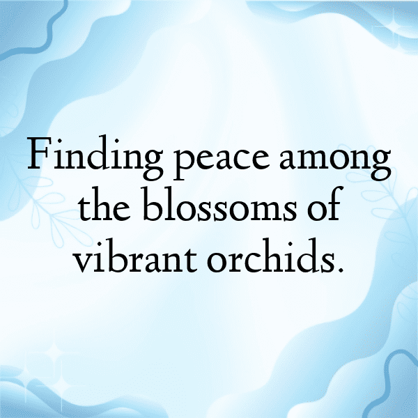 286+ Orchid Captions For Instagram In 2025 9 Orchid Captions Image For Instagram-OUYeM9