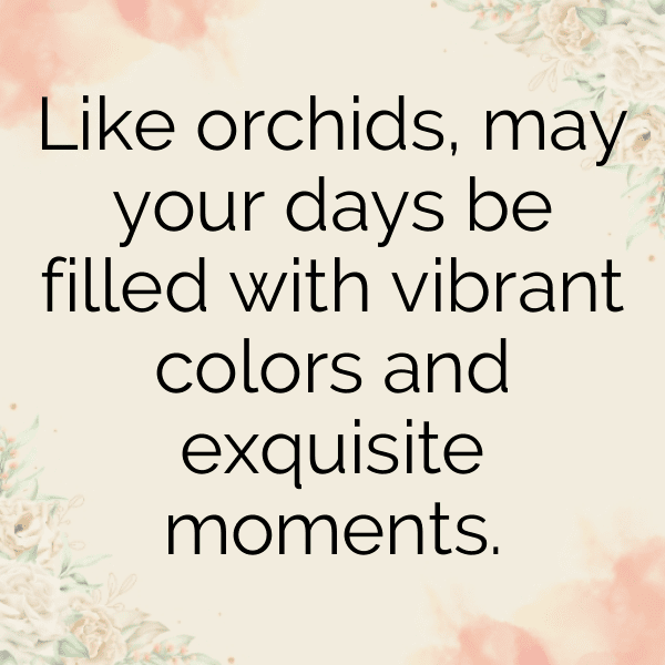 286+ Orchid Captions For Instagram In 2025 11 Orchid Captions Image For Instagram-t42XBX