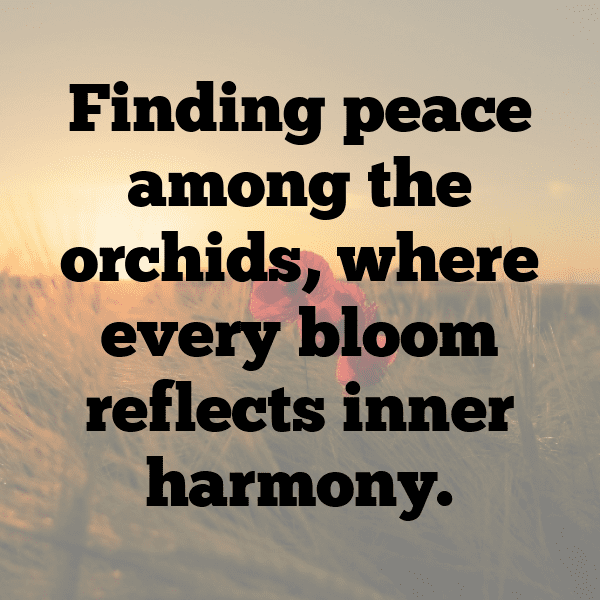 286+ Orchid Captions For Instagram In 2025 3 Orchid Captions Image For Instagram-VJwmor