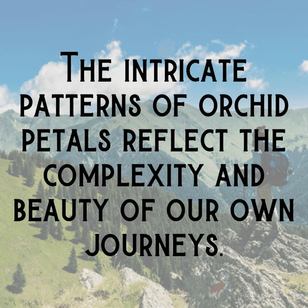 286+ Orchid Captions For Instagram In 2025 18 Orchid Captions Photo For Instagram-6QFGM6