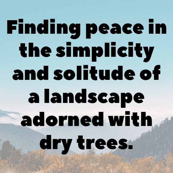 286+ Orchid Captions For Instagram In 2025 12 Orchid Captions Photo For Instagram-E5t8FR