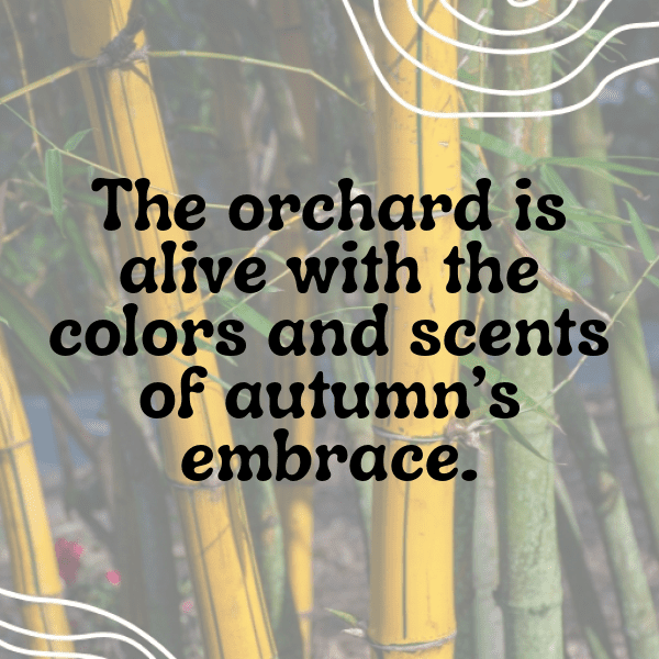 286+ Orchid Captions For Instagram In 2025 10 Orchid Captions Photo For Instagram-UUNEjQ