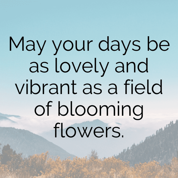 286+ Orchid Captions For Instagram In 2025 5 Orchid Captions Photo For Instagram-xMIfDs