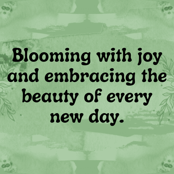 Osteospermum Captions Photo For Instagram-wWf8Za